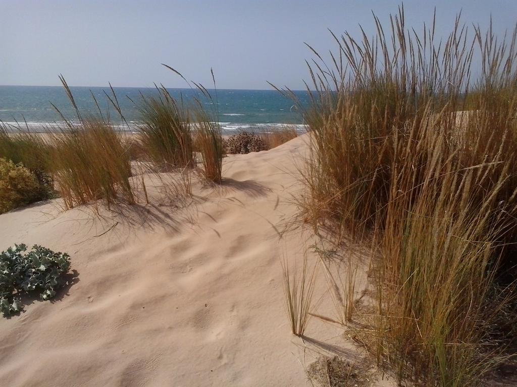 הוילה Cava dʼAliga Le Terrazze Sul Mare מראה חיצוני תמונה