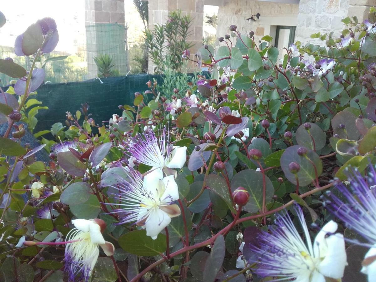 הוילה Cava dʼAliga Le Terrazze Sul Mare מראה חיצוני תמונה